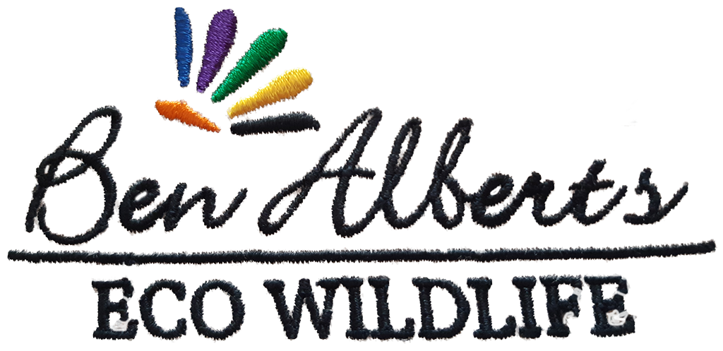 Ben_Alberts_Eco_Wildlife_Logo